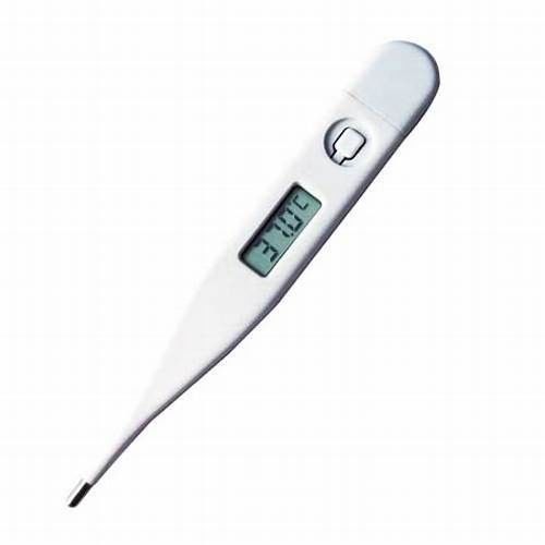 Lightweight Digital Temperature Thermometer , Professional Medical Digital Thermometer